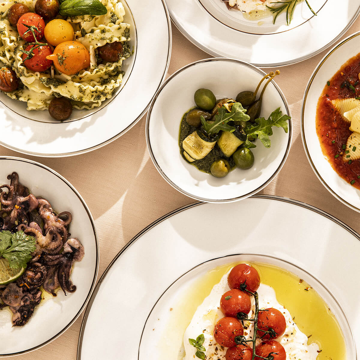 GALON PLATINIUM COLOR Cup 13,5 cm