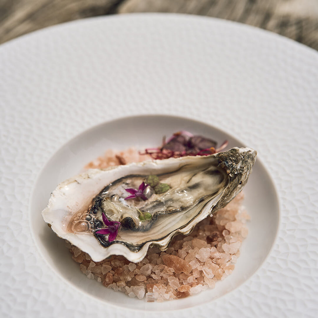 COLLECTION L FRAGMENT BLANC Assiette gourmet grand bassin 30 cm