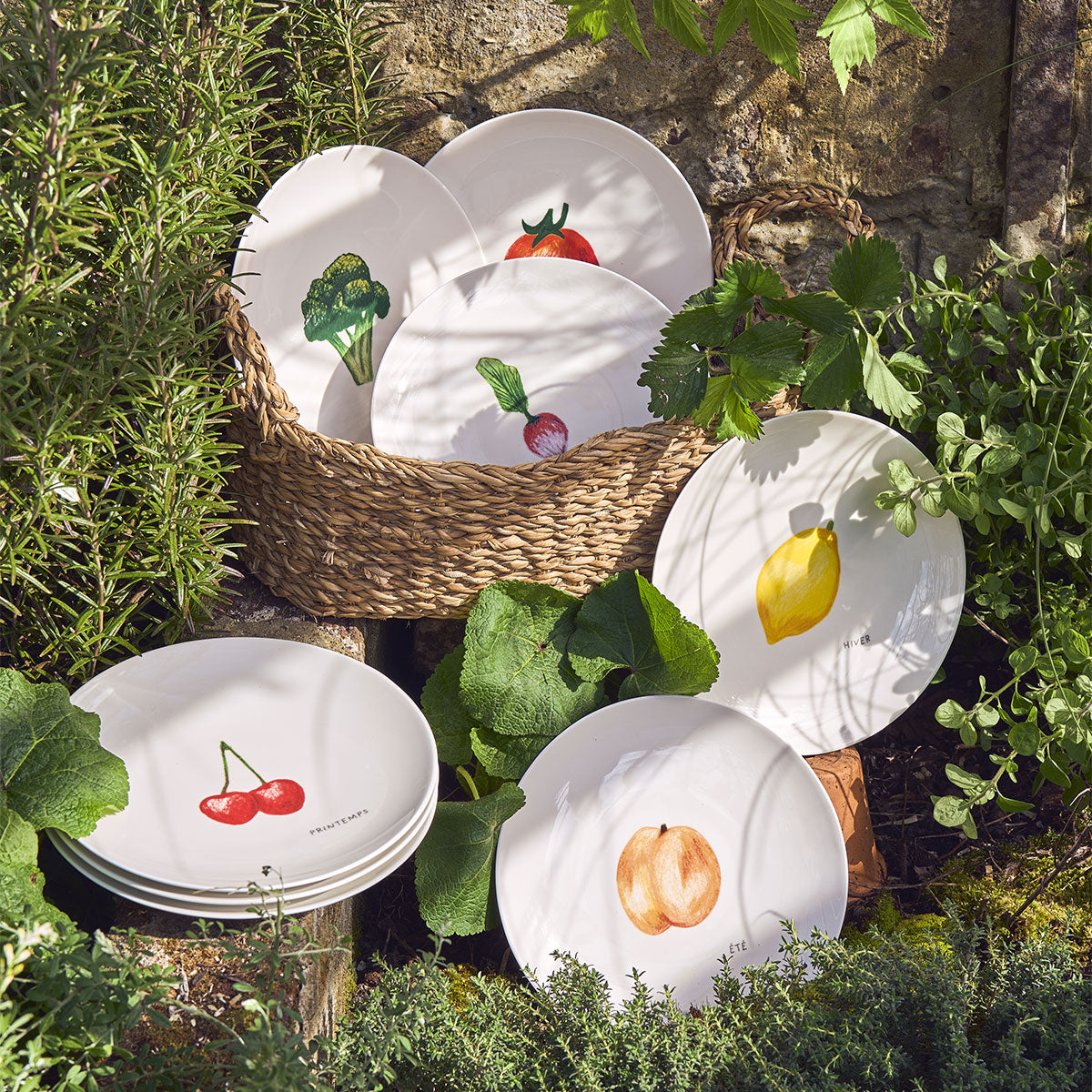 SAISONS Coffret 4 assiettes 19 cm légumes
